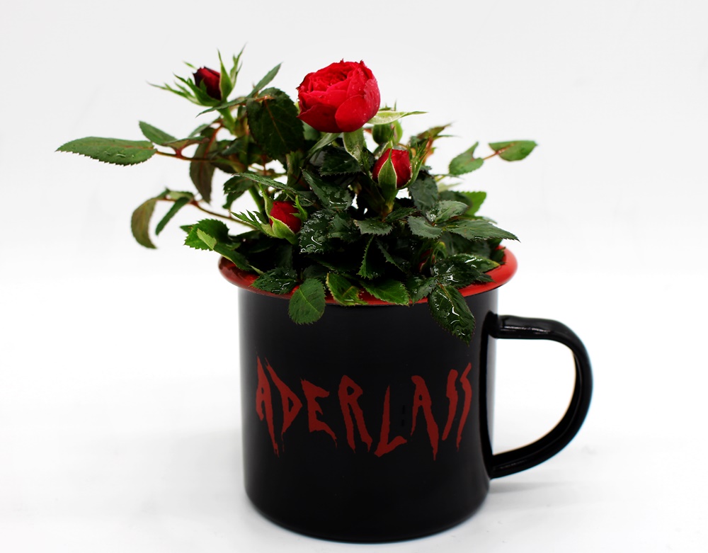 Aderlass Mug & Roses